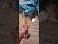 नैट खोलने की 5g मशीन #reels #farming #kisan #short #followme #farmingjyotivlogs #veel #reels #sorts