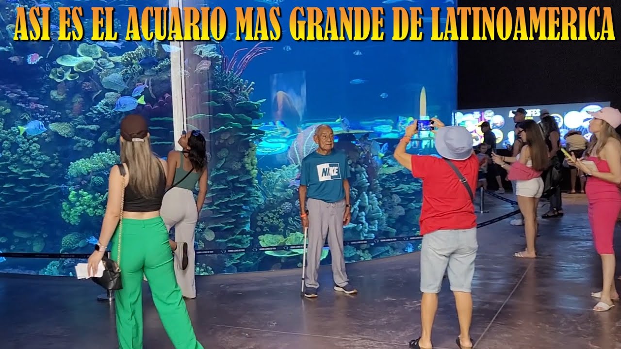 ASI ES EL ACUARIO MAS GRANDE DE LATINOAMERICANA ubicado en Mazatlán ...