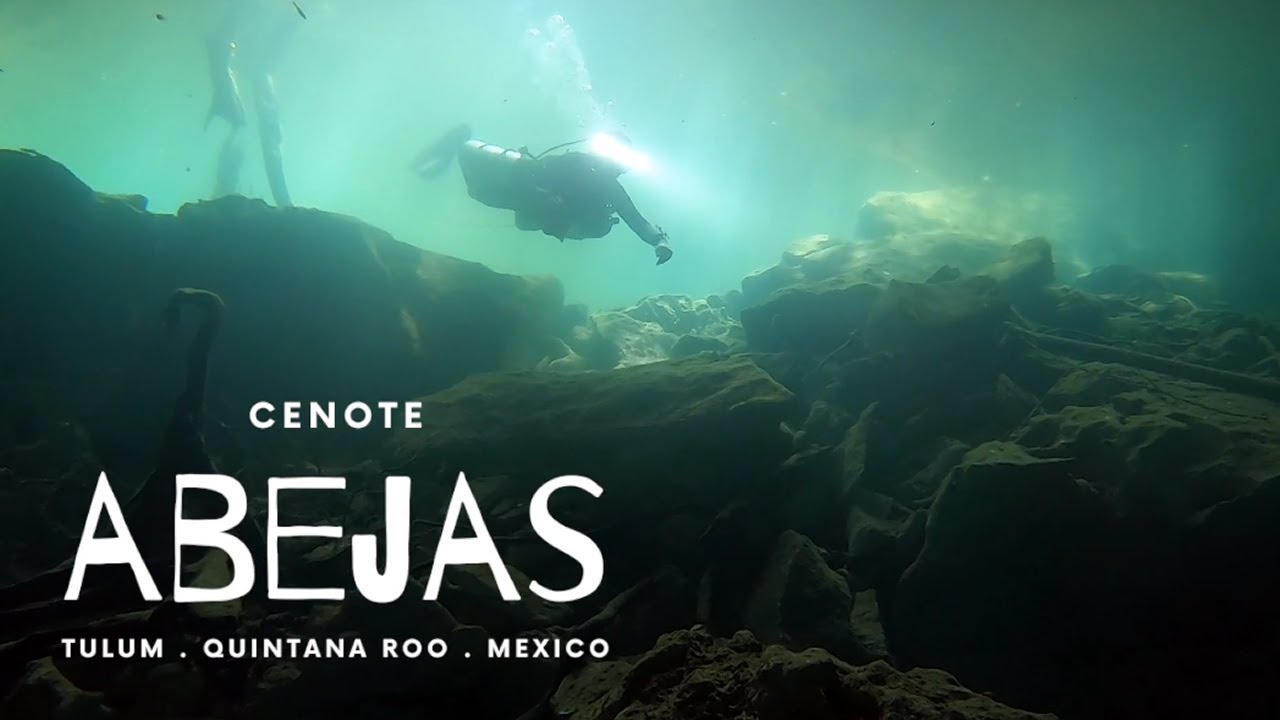 Cenote Abejas - Mexico abril 2022