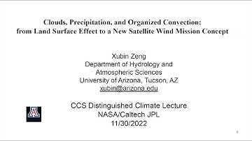Clouds, Precipitation, and Organized Convection
