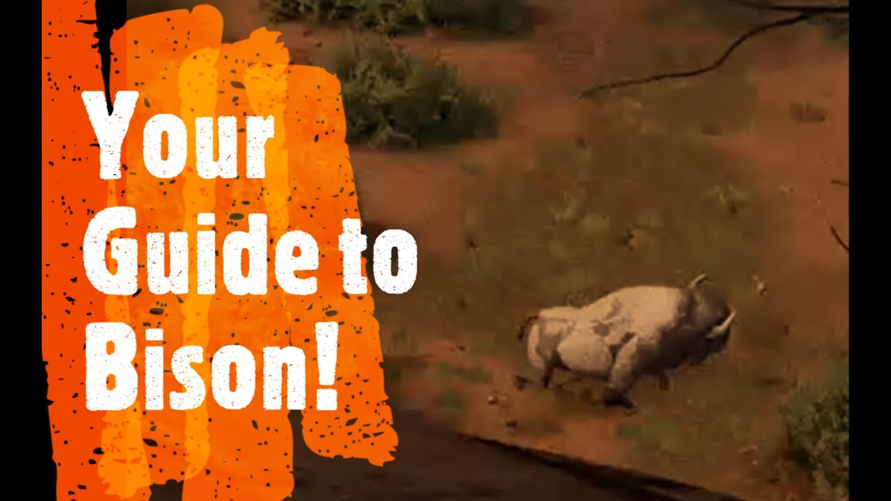 hunting simulator 2 beginners guide