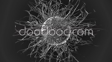 Sphere | Music Visualization - doodooc.com