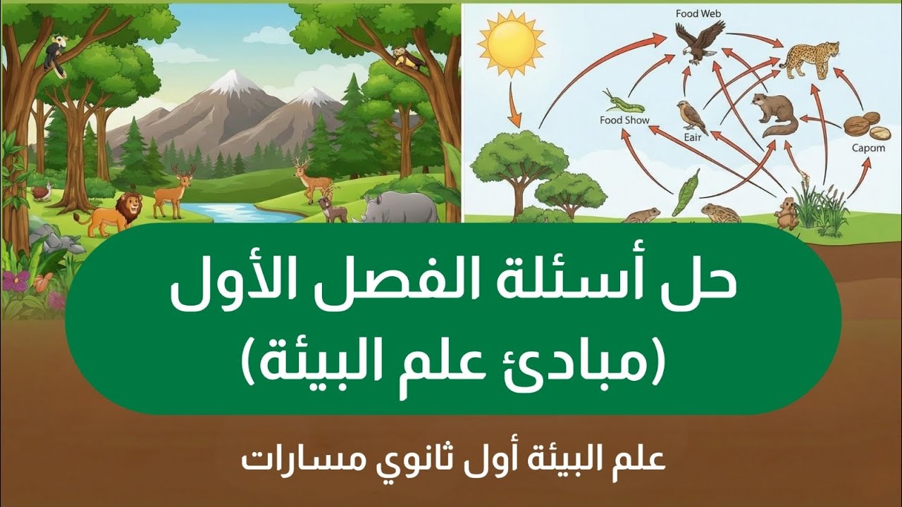 حل أسئلة شاملة | الفصل الأول: مبادئ علم البيئة | علم البيئة أول ثانوي مسارات
