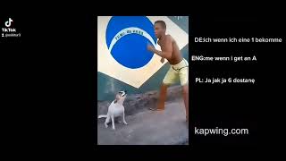 Dog Dancing