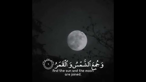 قران كريم بصوت القارئ ادريس ابكر حالات واتس اب♥♥.
