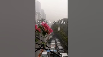 #قرآن #سورة_التكاثر #ياسر_الدوسري #تلاوة_خاشعة #الحمدلله #سبحان_الله #1000subscriber #foryou #trend