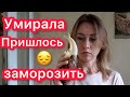 ПРИЕХАЛА РАЗБИТАЯ, НО ЖИВАЯ УЛИТКА😔