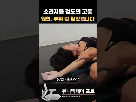 리액션 장인