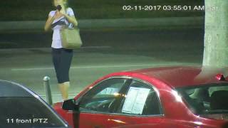 purse snatching 2/11/17
