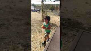 TWINS first visit to pumpkin patch