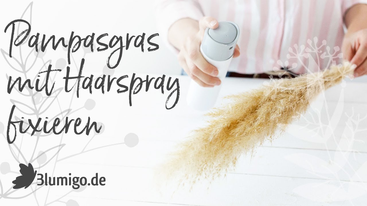 Pampasgras mit Haarspray fixieren