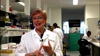 Women's health for female researchers | Hudson Institute