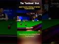 Trump's Shot: A Masterclass in Precision #snooker2025 #ronnieosullivan