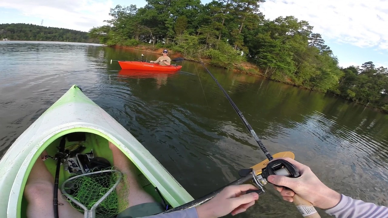 SURPRISE Striper! Rhodhiss Lake YouTube