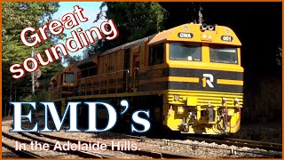 Grain trains with great sounding EMDs , at Mt Lofty.