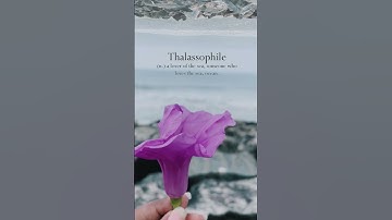 Thumbnail of Sea💜#shorts #aesthetic #beach #peace #trending #explore