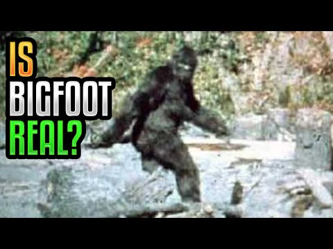 Is Bigfoot Real?
