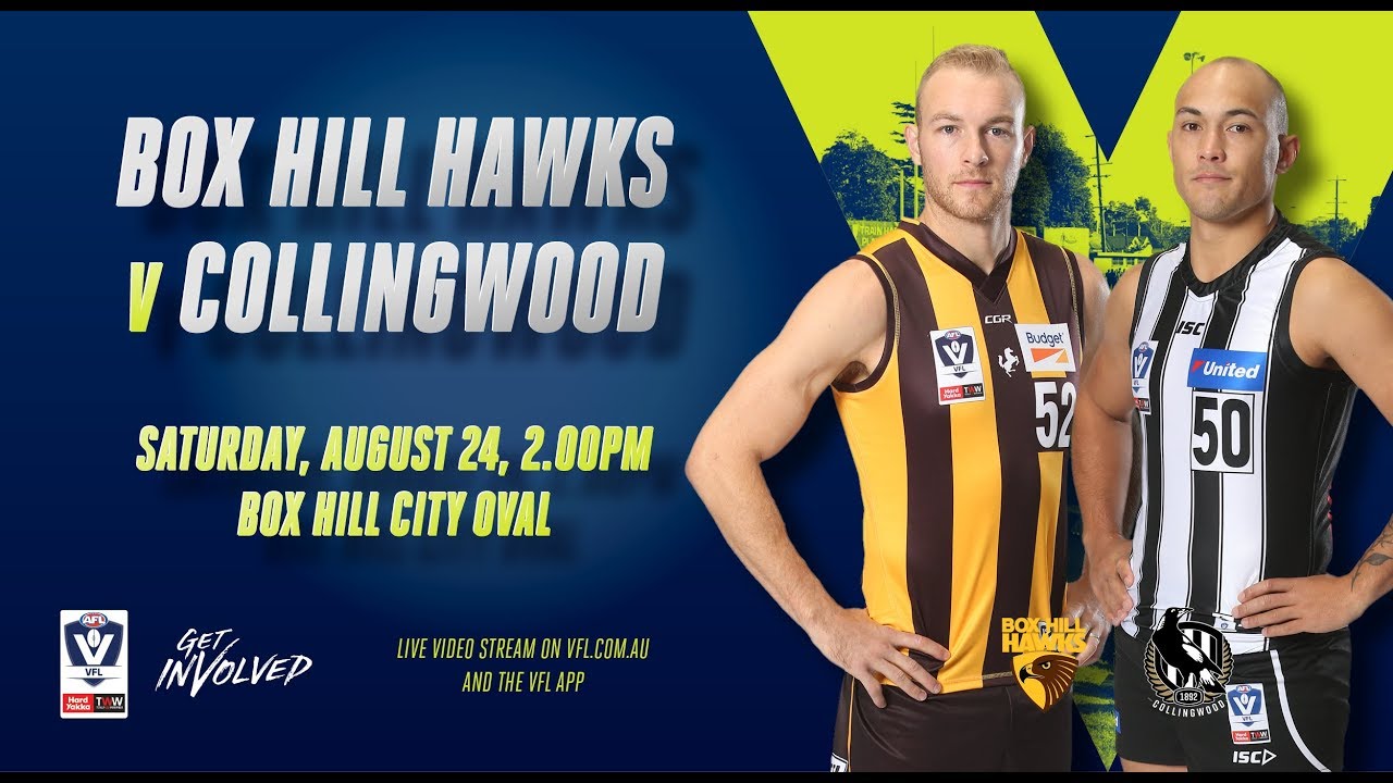 Rd 21 VFL Box Hill Hawks vs Collingwood YouTube