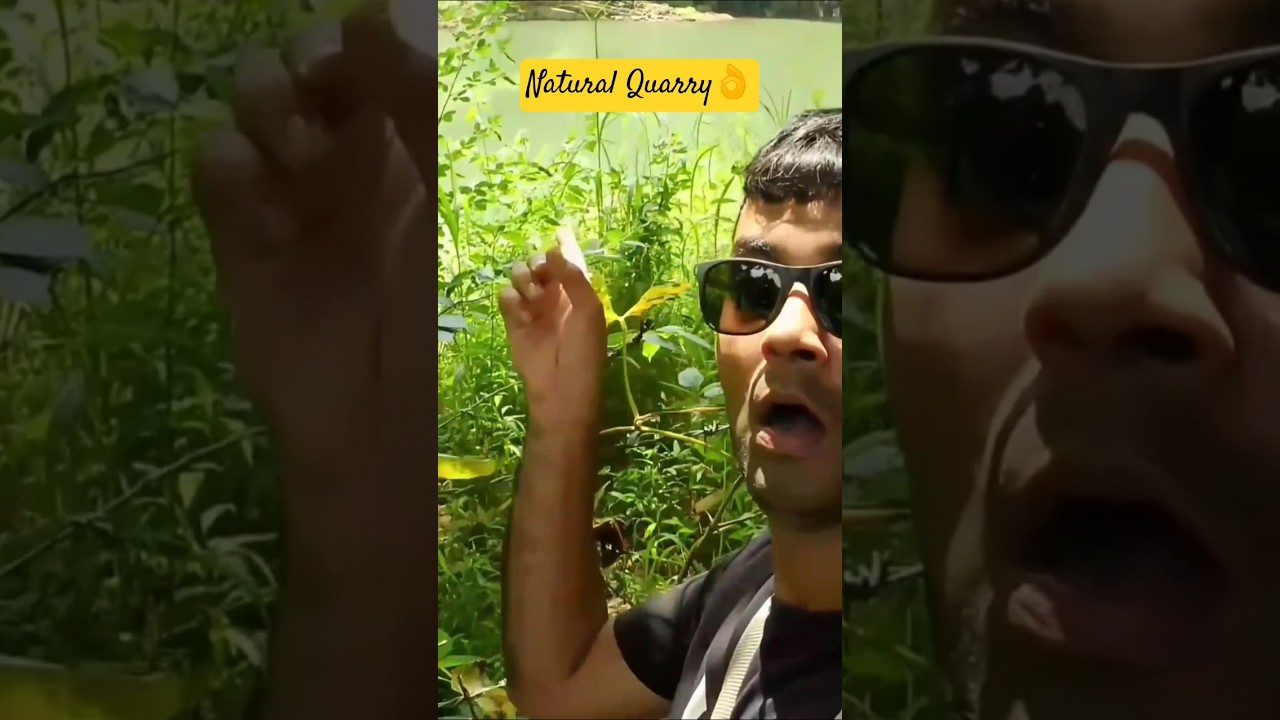 Do not swim here 🐊