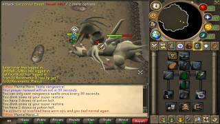 Solo Corp - With Flowers, No Prot Prayers, Green D Hide.