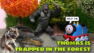 Thomas Trapped in the Forest | Thomas Journey Eps 1