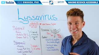 Overview of Lyssavirus