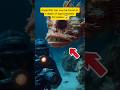 anglerfish found at a depth of 40 meters‼️😱#shortvideos #americafish