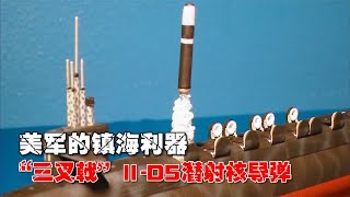 潜射弹道导弹的王者,“三叉戟”Ⅱ-D5核导弹，美军的镇海利器！