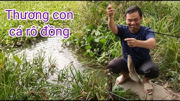Đi Câu Cá Rô Đồng Trong Đầm Hoang Lục Bình-2022