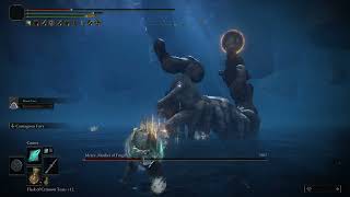 Mother of Fingers Boss Fight Elden Ring Shadow of The Erdtree