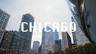 Visiting The Field Museum // What I learned in Chicago