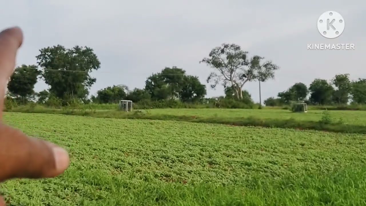 (PK 162) 3 acres 14 gunta land near Malavalli | udupa : 9901323456