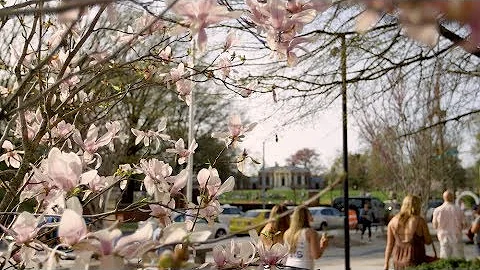 Explore Central Baltimore Around the Johns Hopkins...