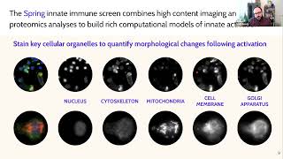 Adjuvant discovery using deep learning on high-dimensional phenomics