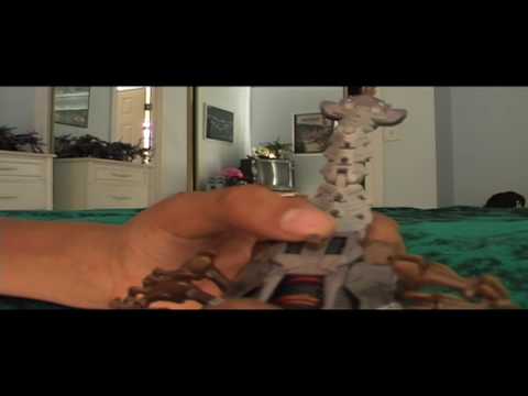 Scorponok