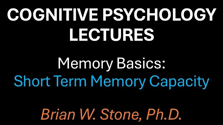 Cognitive Psychology - Memory Pt4 - STM Capacity and Coding