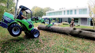 ABATTAGE ET ÉLAGAGE DE GROS ARBRES , AVANT 860i , BROYEUR FORST TR6D