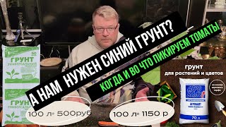 Какой грунт выбрать и когда пикировать томаты?