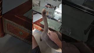 Slap Demands Are High