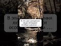 В эти дни рождения люди обладают особым шармом