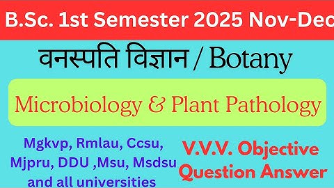 Bsc 1st semester chemistry objective question for 2025-26 |#ddu #rmpssu #dbrau  #nkgc