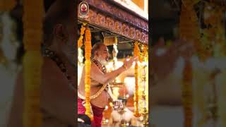 In Vishnumaya Swami’s presence, everything feels peaceful 🙏