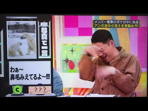 【乃木坂工事中】アンガールズ設楽②
