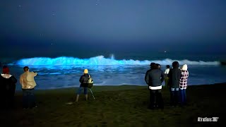 Bioluminescent Waves is Back Again! January 2024 | California's Coast - Newport Beach by Attractions 360° 20,516 views 3 months ago 3 minutes, 16 seconds