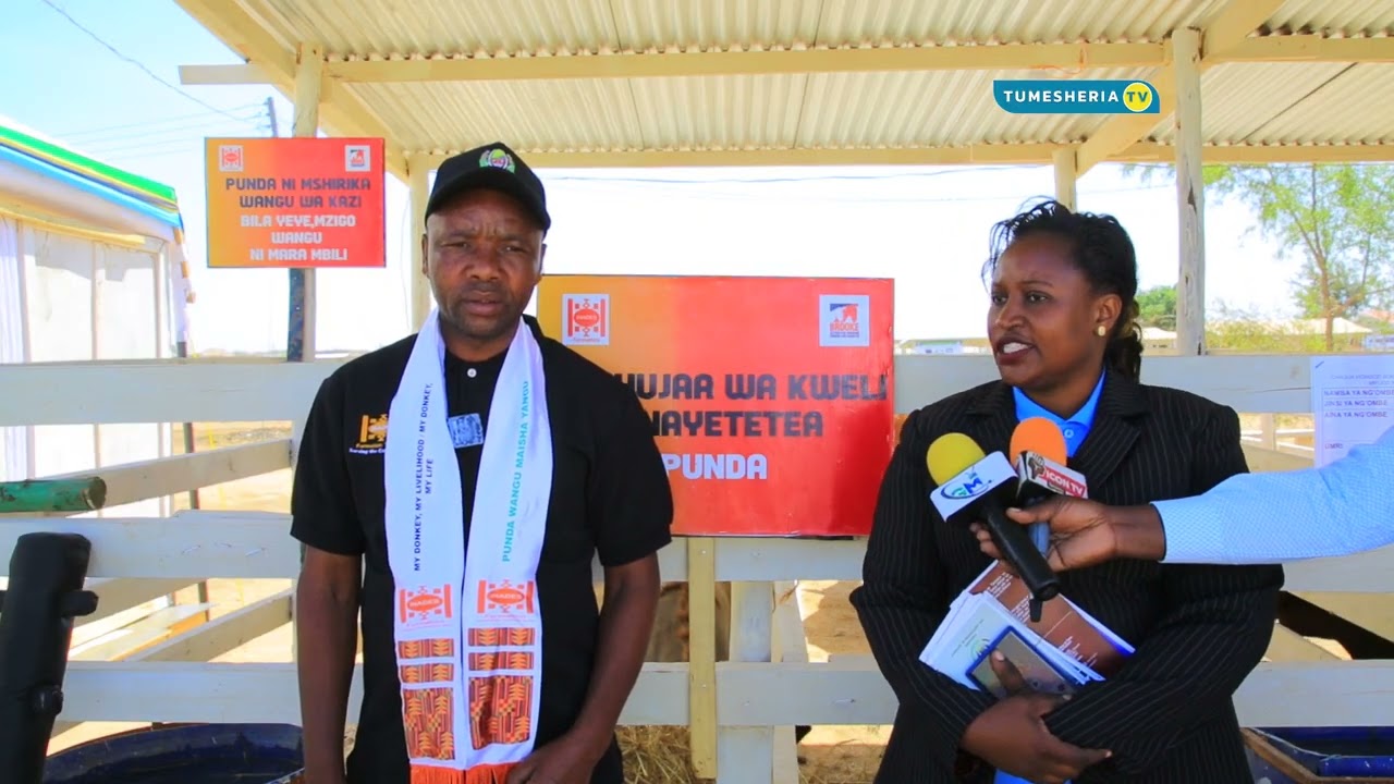 Tume ya Kurekebisha Sheria Tanzania Yatoa Elimu ya Sheria ya Ustawi wa Wanyama kwa Wafugaji  Dodoma