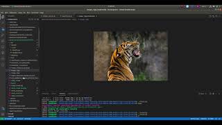OpenCV DNN C++ - Classification