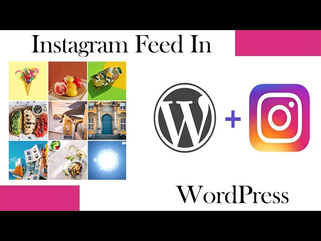 How to Add Instagram Feed on Your WordPress Website | Social Media Feed Free WordPress Plugin