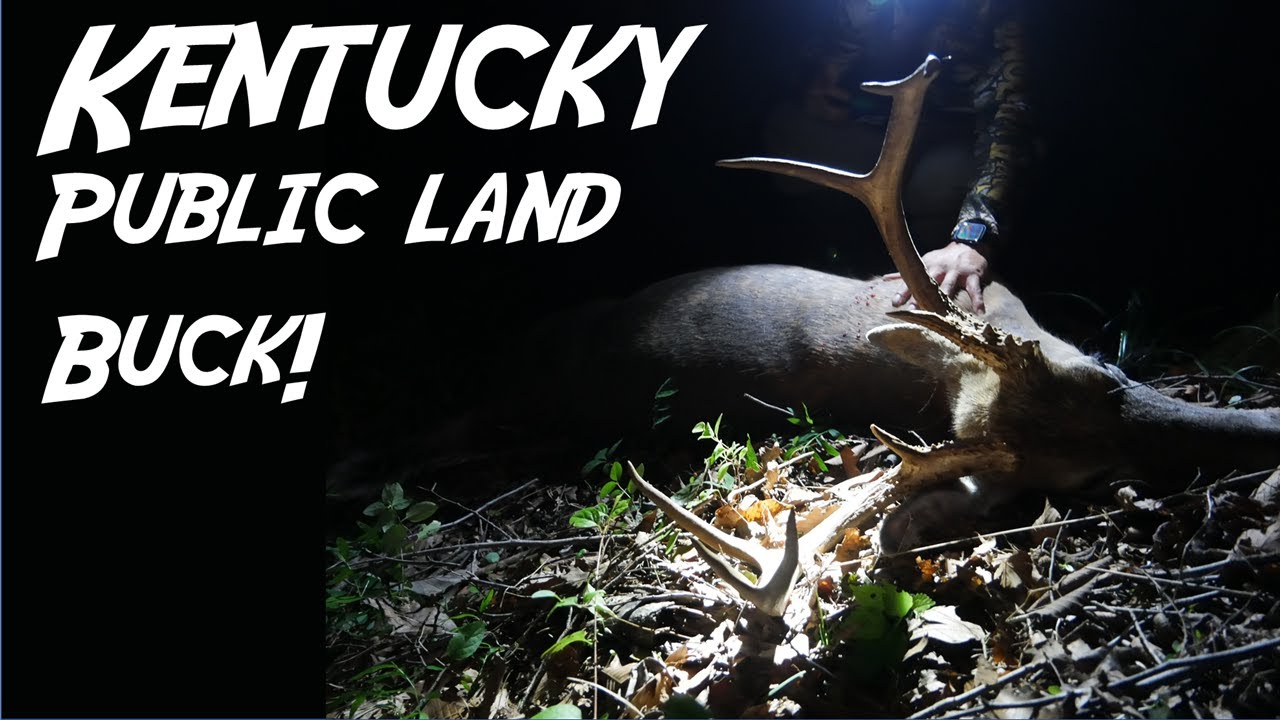 Out of state Hunt DIY public land Kentucky Archery hunt MATURE