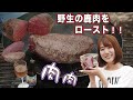 【ジビエ料理】絶品！野生のオス鹿肉（モモ）をローストにして食べてみたら高級フレンチの味だった