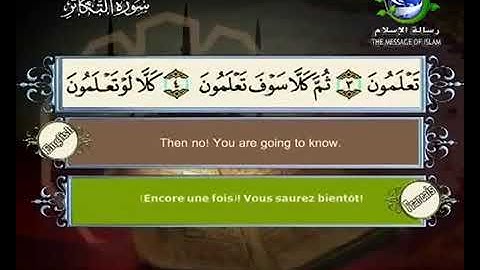 سورة التكاثر مكتوبة للشيخ سعد الغامدي برواية حفص عن عاصم